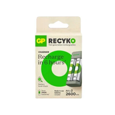 GPE221 270HCER21-2GTLB2 2x2700mAH AA Pil ve Şarj Cihazı